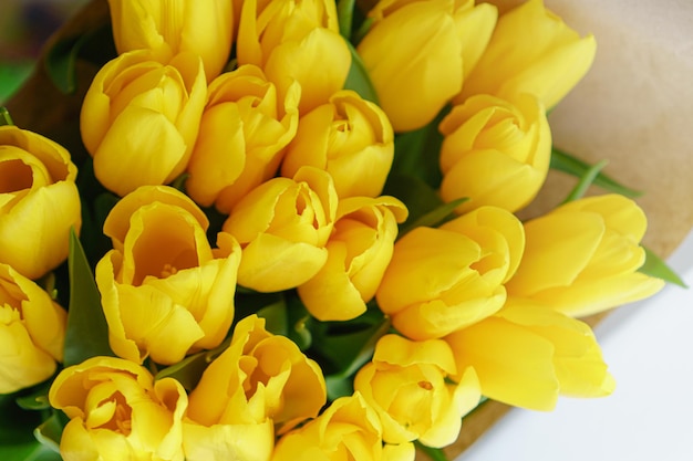 Knoppen van gele tulpen.