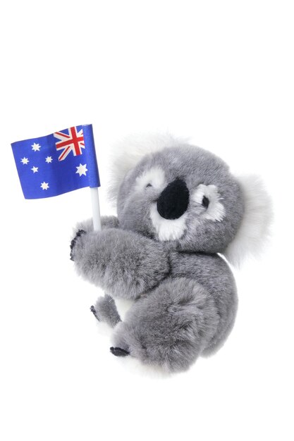 Knuffel Koala