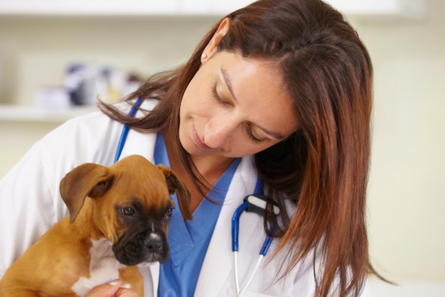 Knuffelen arts of zieke puppy bij dierenarts voor diergezondheidscontrole in verpleegkundig overleg op kantoor genegenheid verpleegster of jonge reddingshond bokser in onderzoek of medische test in dierenkliniek