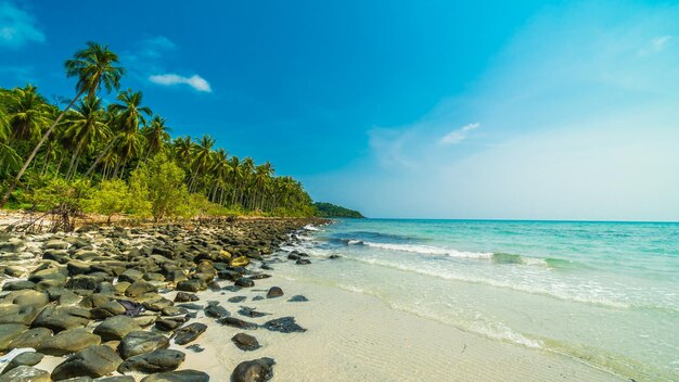 Photo ko phangan thailand