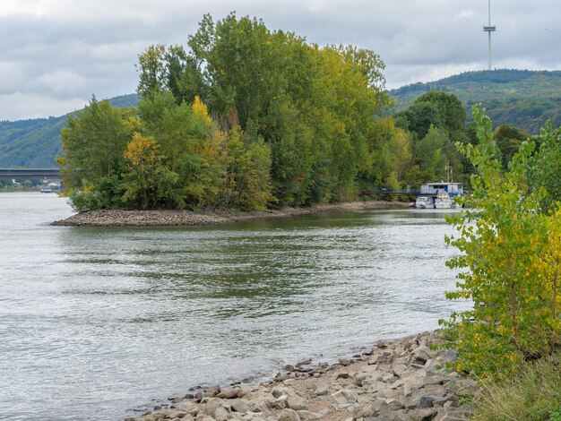 Photo koblenz at the rhine river