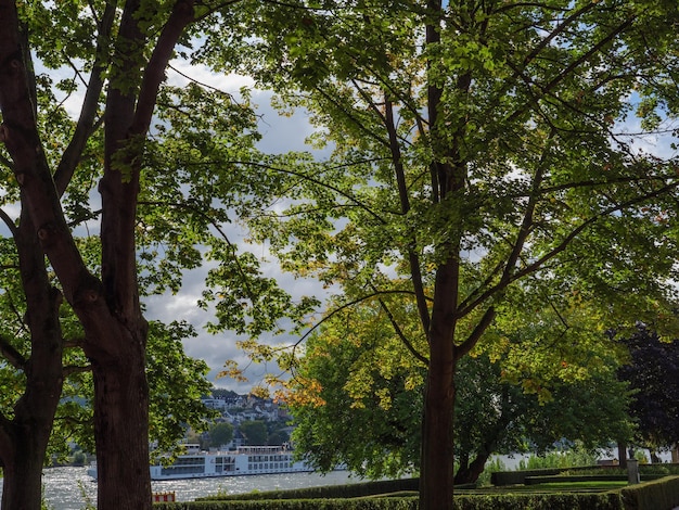 Photo koblenz at the rhine river