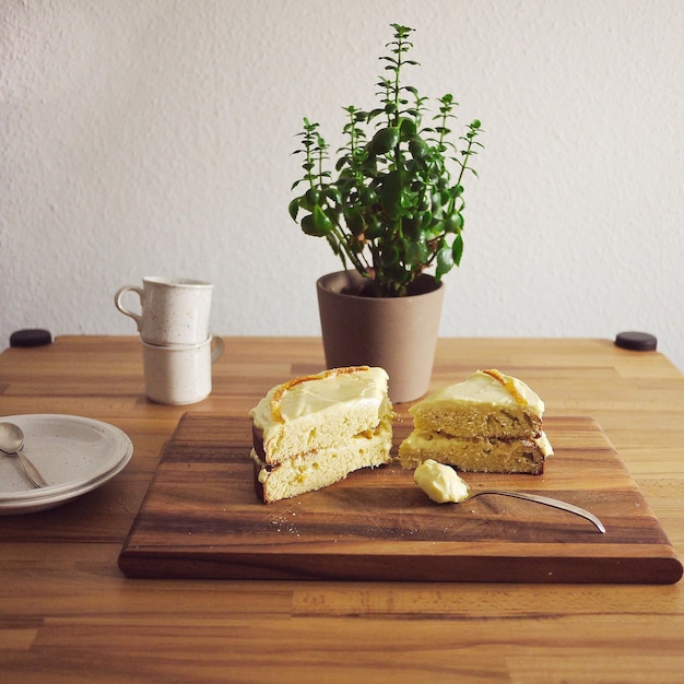 Foto koek met potplant op tafel thuis.