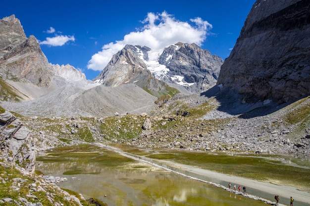 Koemeer, Lac des Vaches, in Vanoise National Park, Savoye, Frankrijk