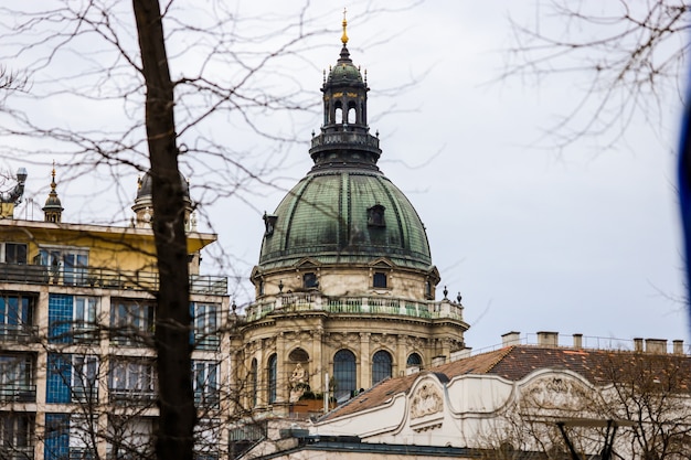 koepel van de Sint-Stefanusbasiliek tussen de takken