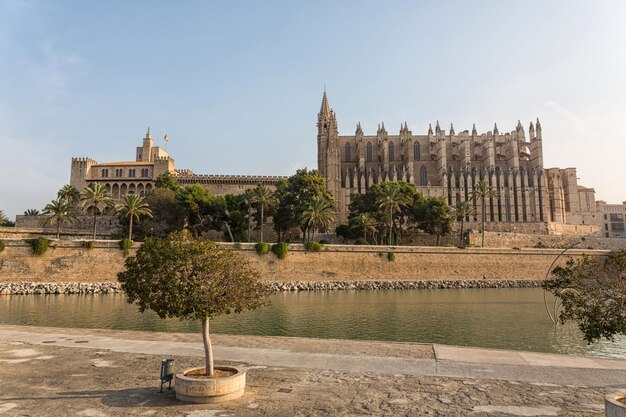 Koepel van Palma de Mallorca Spanje