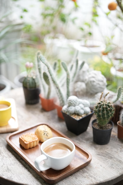 Koffie en desserts op houten dienblad en cactusplantpotten buiten chillen