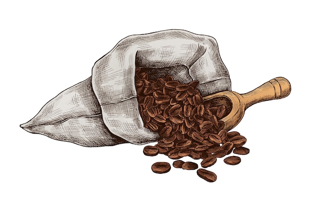 Koffiebonen png vintage sticker illustratie doorzichtige achtergrond