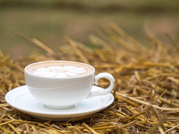 Koffiekop op stro in de stijgingsgebieden