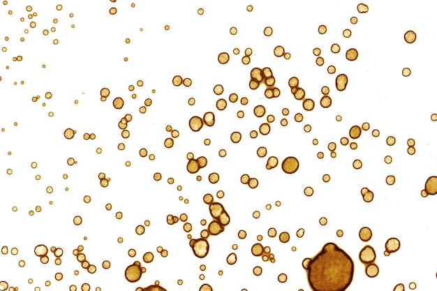 Koffievlektextuur Abstracte vlekken Psychologische afbeeldingen Abstracte bubbels