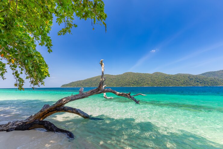 Photo koh lipe