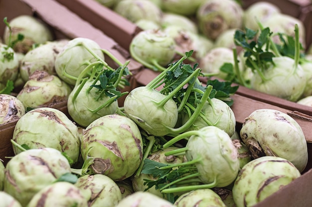 Kohlrabi sale at vegetable market