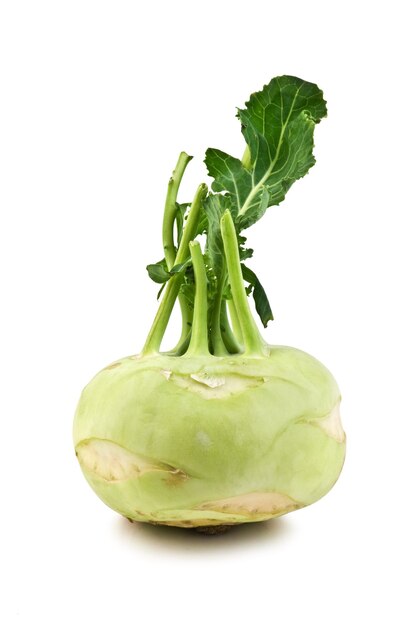 kohlrabi