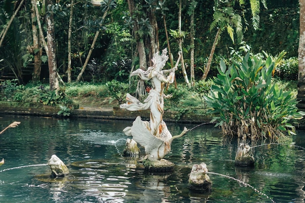 koi fishes in the Balinese pond