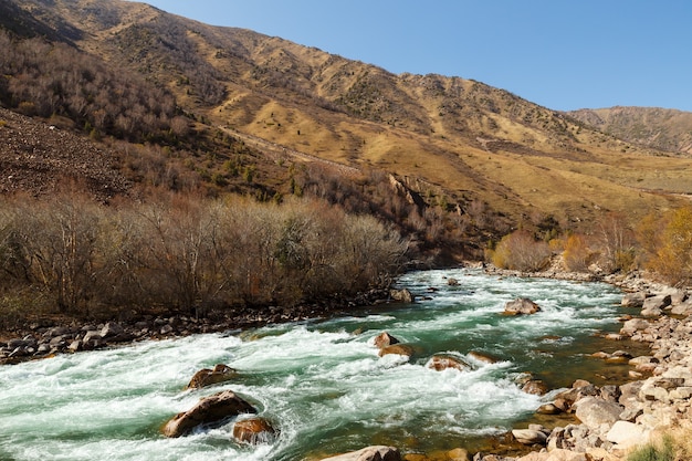 Kokemeren rivier, regio naryn van kirgizië. bergrivier in de herfst