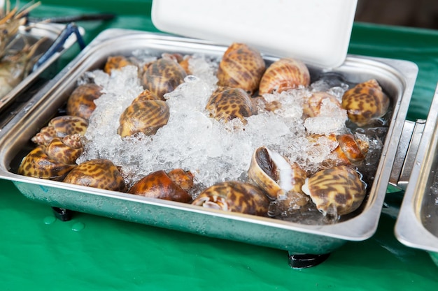 koken, aziatische keuken, verkoop en voedselconcept - gekoelde slakken of zeevruchten op ijs op straatmarkt