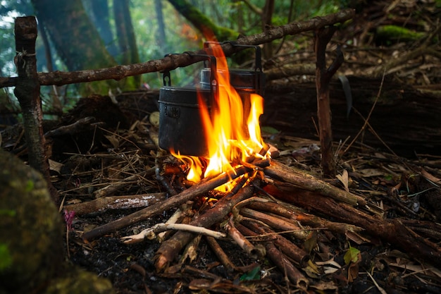 koken in het bos Zwartgeblakerde kampeerpotten en een ketel uit het vuur Het is lente