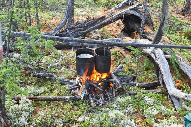 Foto koken op kampvuur