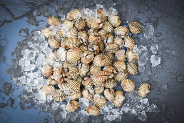 Kokkels op ijs achtergrond, verse rauwe schelpdieren bloed kokkel oceaan gastronomische zeevruchten in het restaurant of de markt