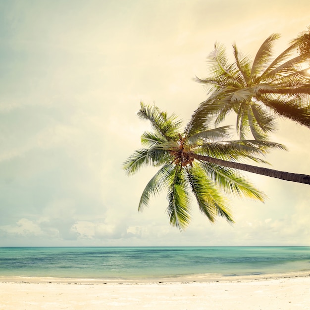 Kokos palmbomen op tropische strand kust in de zomer, vintage kleur toon gestileerde