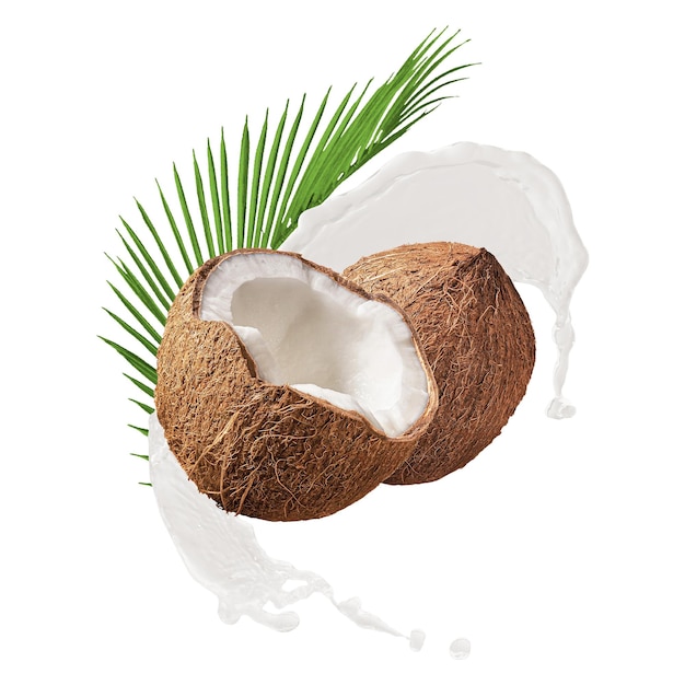 Kokosmelk png splash clipart fruit abstracte grafiek