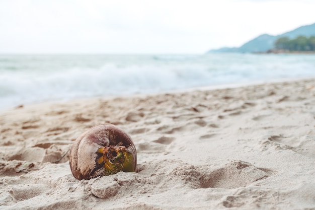 Foto kokosnoot op het strand