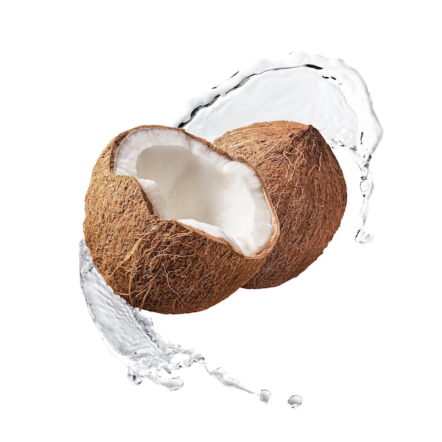 Kokosnoot splash png clipart vrucht abstracte grafiek