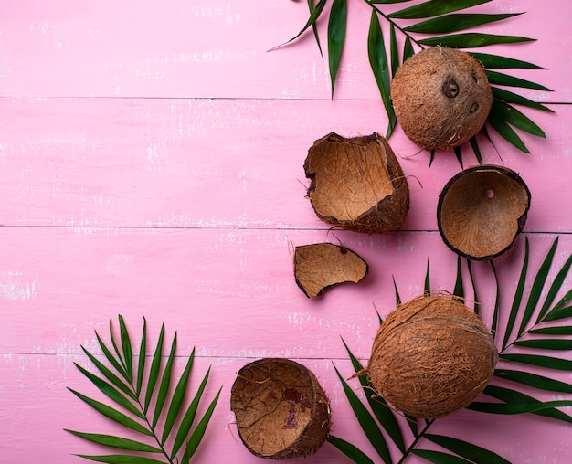 Foto kokosnoten en palmbladen op roze