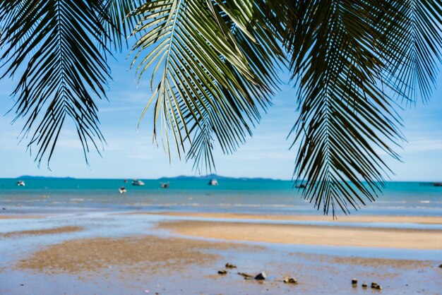 Kokospalm en landschap strand met blauwe lucht voor zomervakantie
