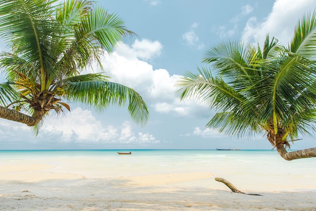 Kokospalm op het prachtige tropische strand