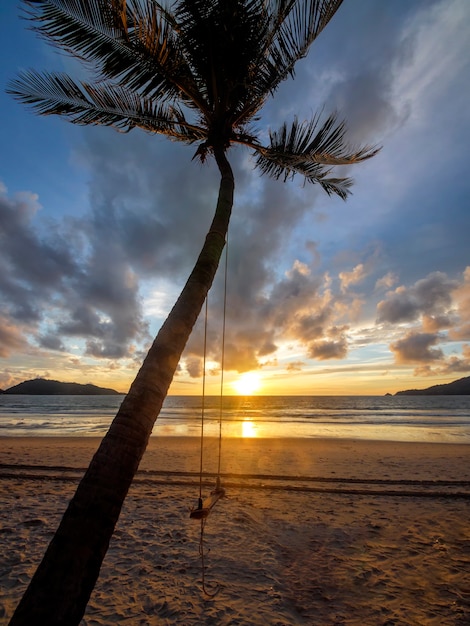 Kokospalmen en tropische zee. Zomervakantie en tropisch strand concept. Kokospalm groeit op wit zandstrand. Alleen kokospalm voor vrijheidsstrand Phuket, Thailand.