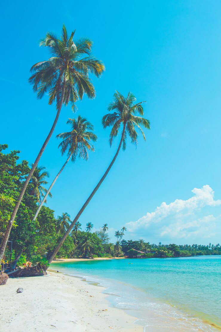 Kokospalmen op een mooi strand op een heldere hemel.