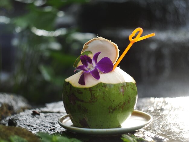 Foto kokoswater in vers kokosfruit ligt op een rots bij de waterval