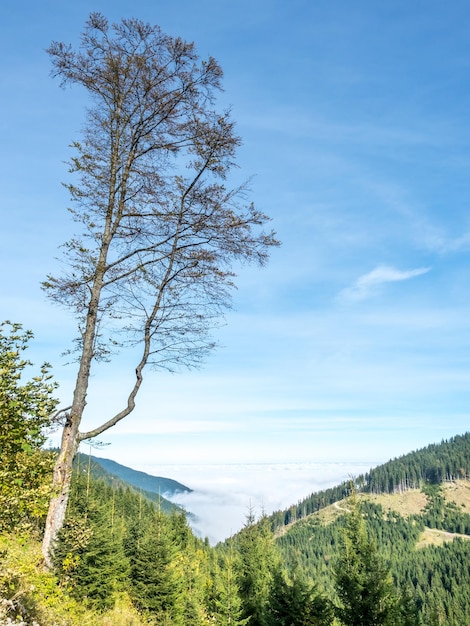 Kolbensattel bij oberammergau-taferelen