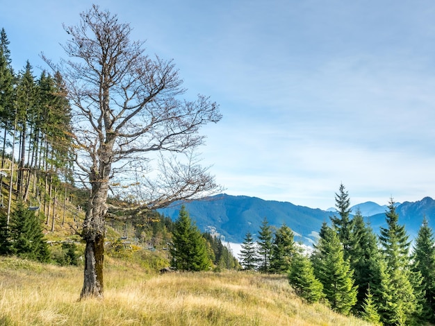 Kolbensattel near Oberammergau scenes