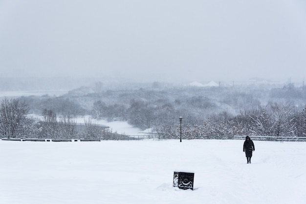 Kolomenskoyepark, de bomen van het de winterlandschap in sneeuw