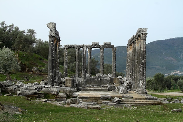 Kolommen van de oude tempel van Zeus in Euromos waren een oude stad in Caria Anatolië, Turkije