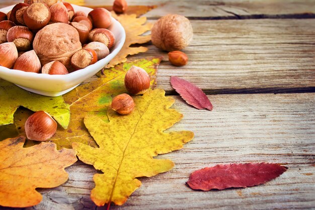 Kom met noten op de bladeren als achtergrond en de herfst