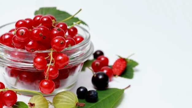 Kom van gezonde verse bessen fruitsalade op witte achtergrond Bessen overhead close-up kleurrijk assortiment mix van aardbei bosbes blackberry rode bessen