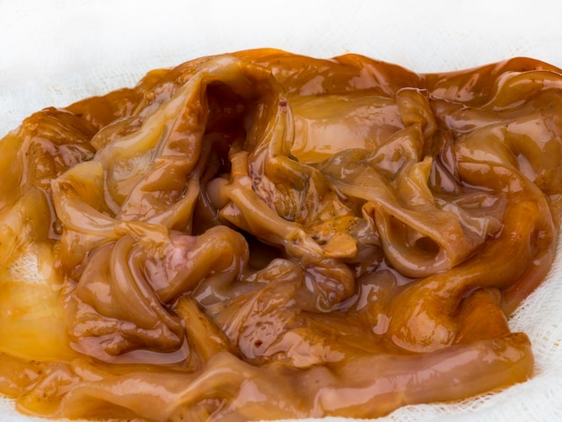 Kombucha mushroom in a plate on a white gauze