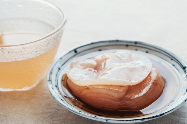 Kombucha mushroom SCOBY, Fermented tea, Probiotic food