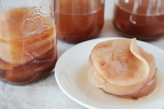 Kombucha-paddenstoel SCOBY, Gefermenteerde thee, Probiotisch voedsel