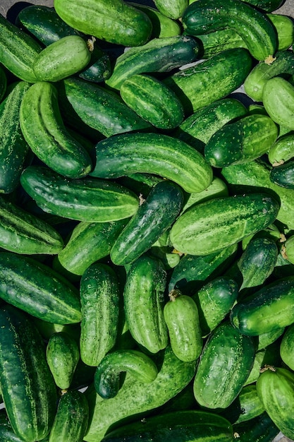 Foto komkommers groene organische achtergrond