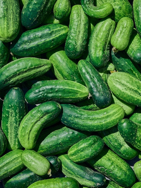 Foto komkommers groene organische achtergrond