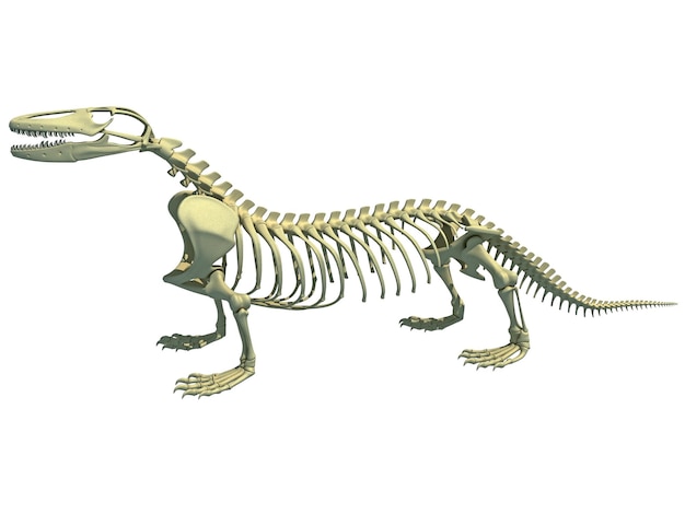 Foto rendering 3d dell'anatomia dello scheletro del drago di komodo