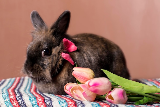 Konijn met bloemen lente Pasen