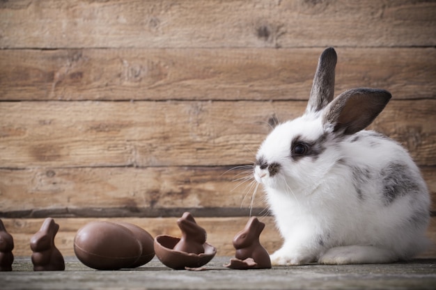 Konijn met chocolade-eieren op houten achtergrond