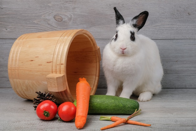 Konijnen op houten vloeren, wortelen, komkommers, tomaten en vaten op houten vloeren