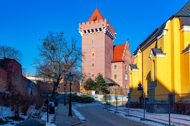 Koninklijk kasteel in de oude binnenstad van Poznan in de zonnige winterdag, Poznan