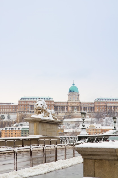 Koninklijk Paleis in Boedapest op winterdag, Hongarije